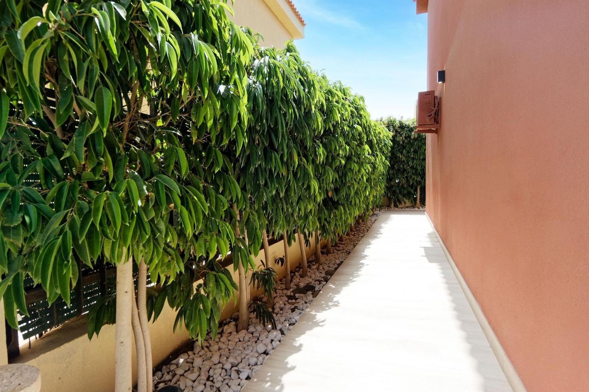 Villa Anil Meloneras San Bartolomé Kültér fotó